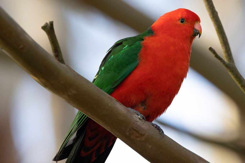 Photo of Outdoor in Wattle Hill