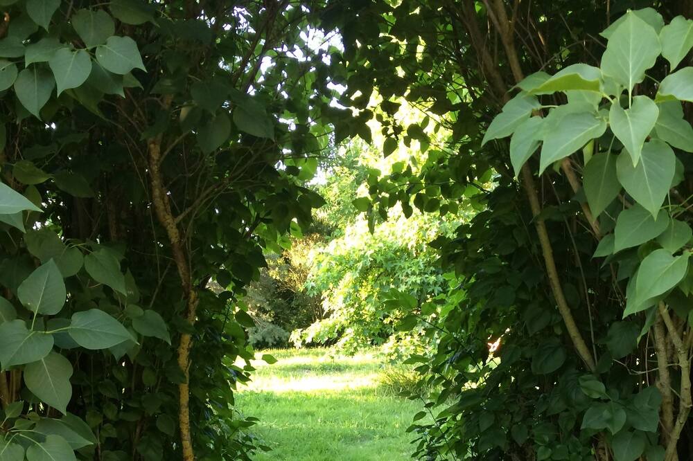 Photo of Outdoor in Levis