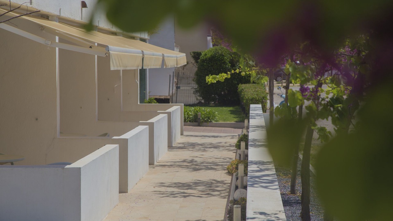 Photo of Outdoor in Roses