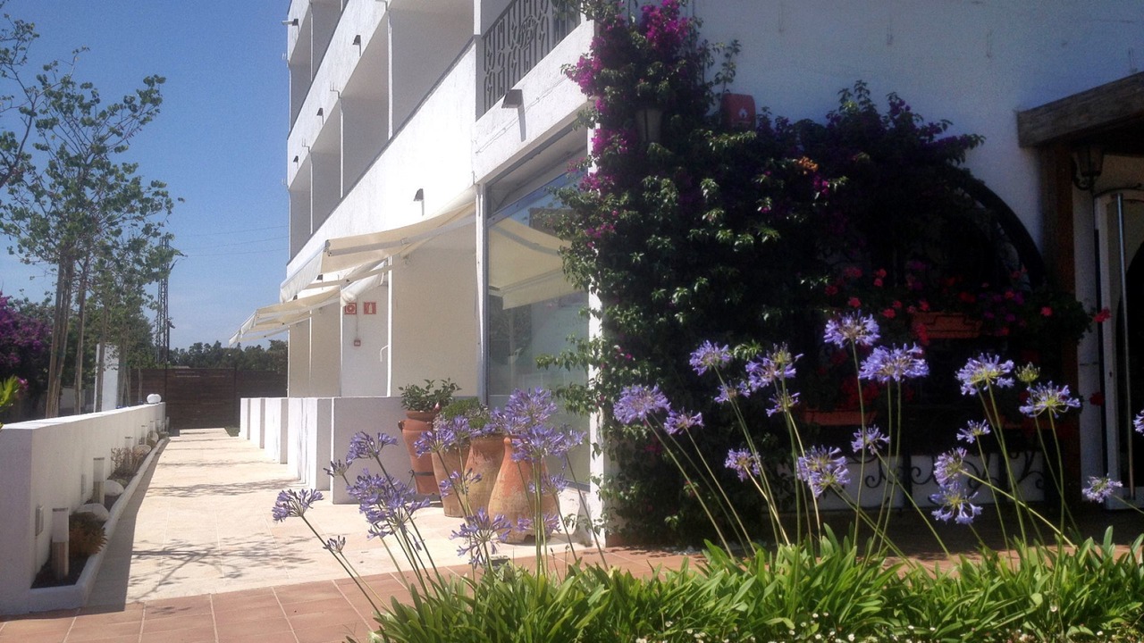 Photo of Outdoor in Roses