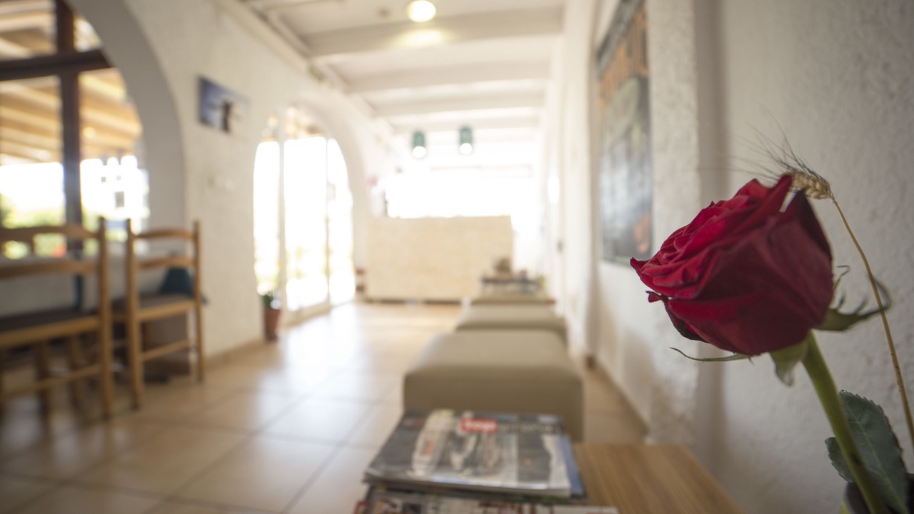 Photo of Others in Roses