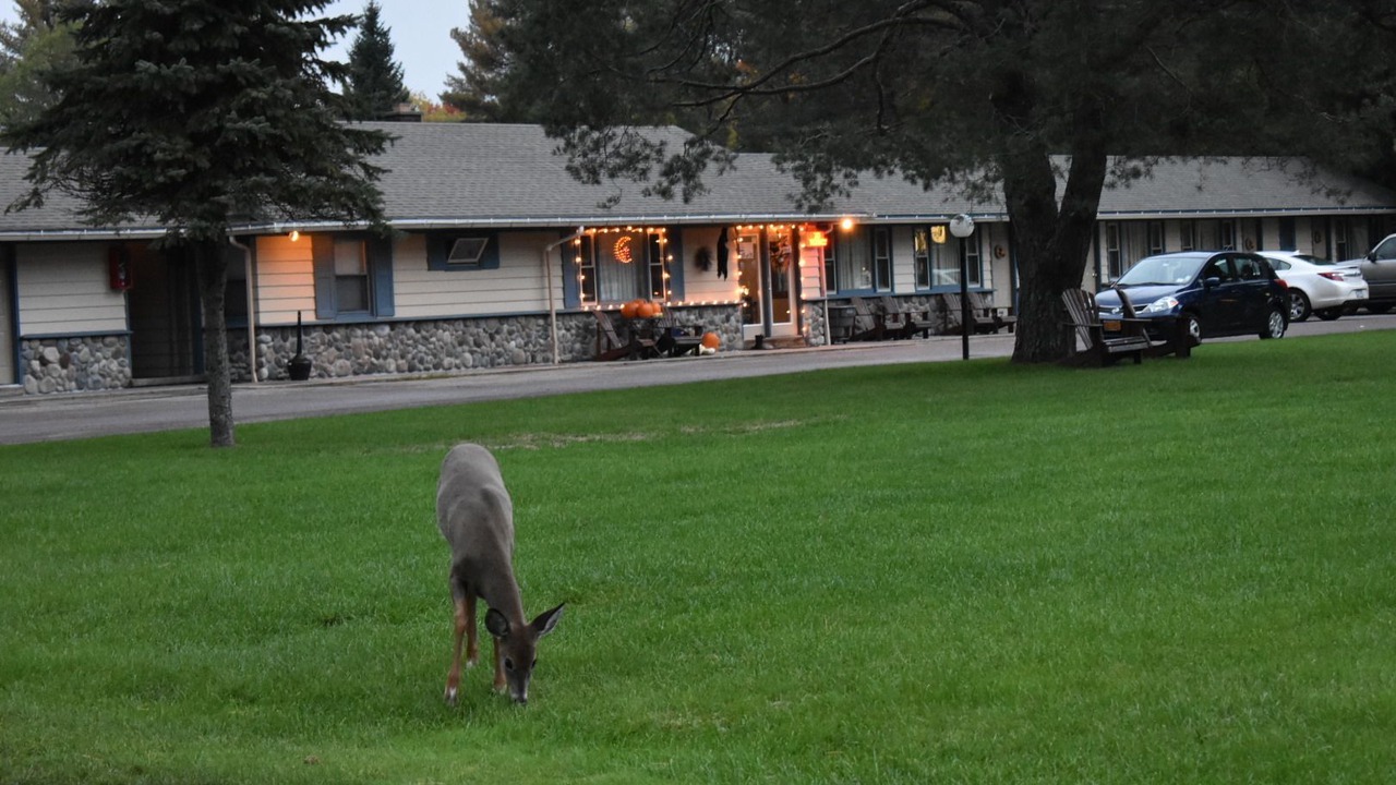 Photo of Outdoor in Thendara