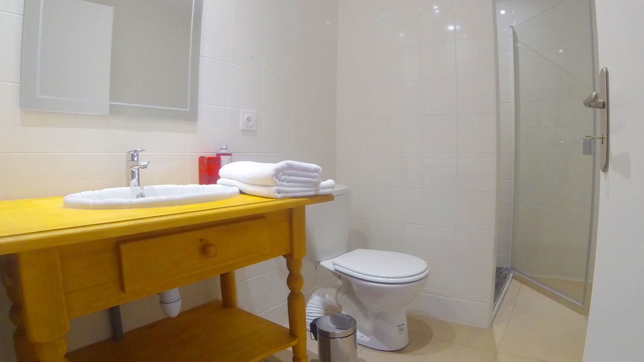 Photo of Bathroom in Molieres