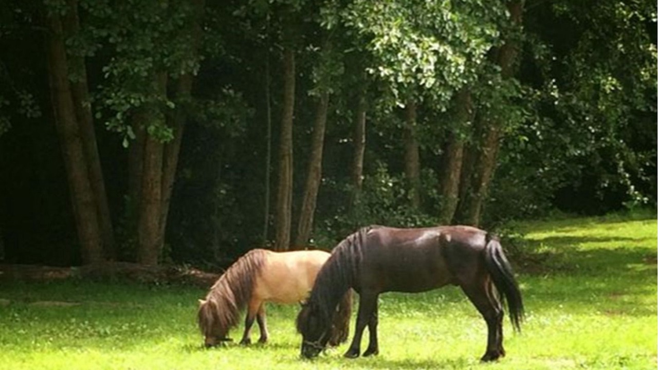 Photo of Others in Ambillou