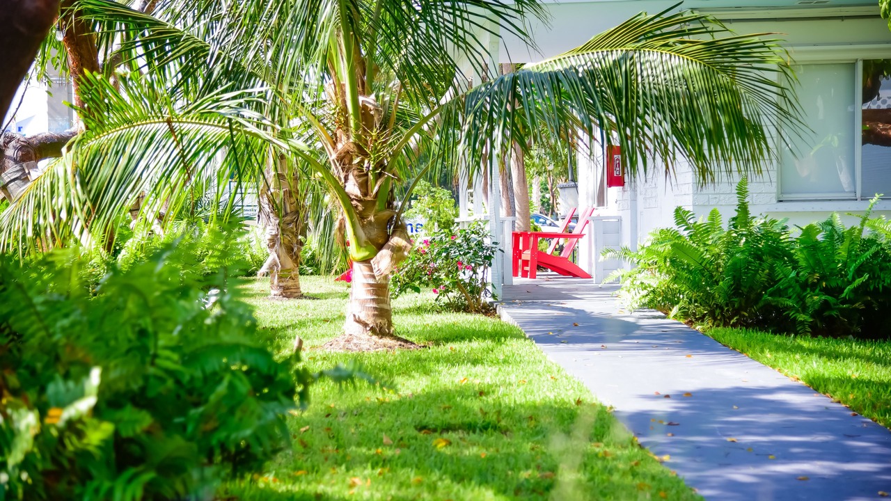 Photo of Outdoor in Islamorada