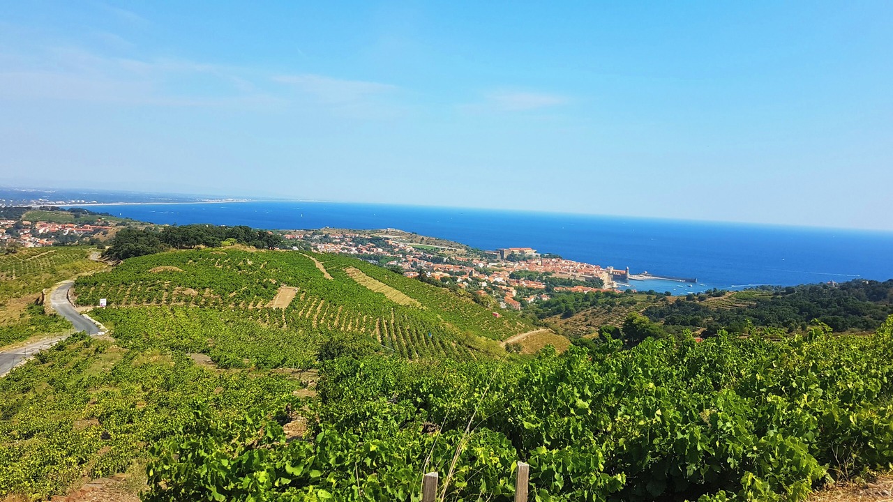 Photo of Outdoor in Plage d'Argeles