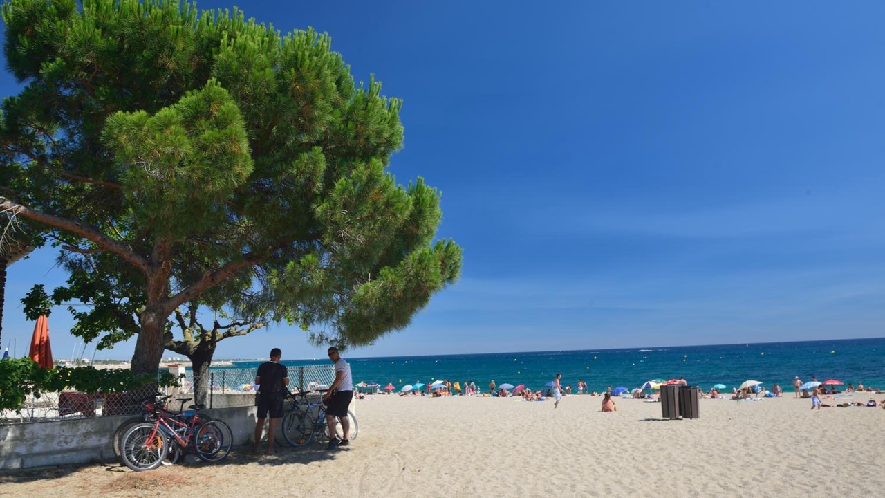 Photo of Others in Plage d'Argeles