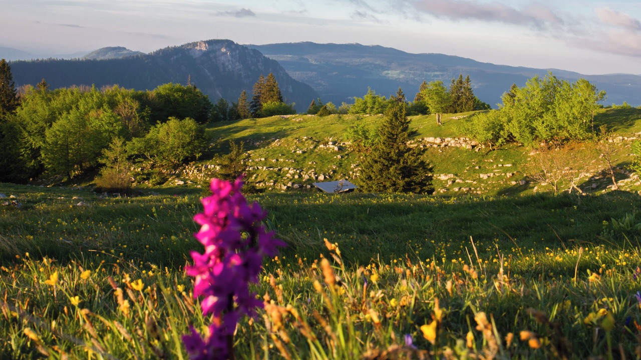Photo of Outdoor in Metabief