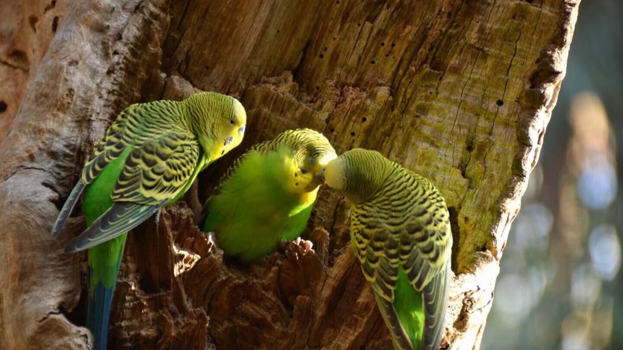 Photo of Outdoor in Doncaster