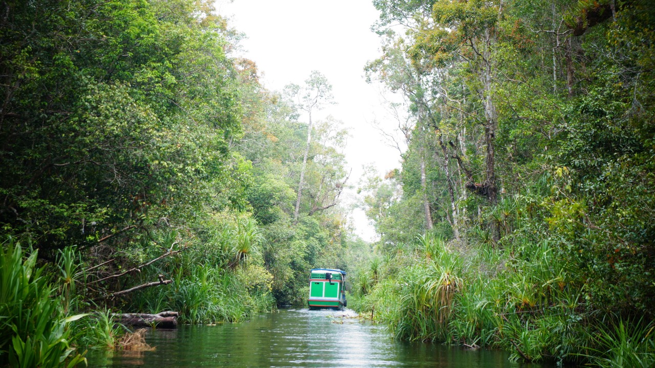 Photo of Others in Kumai