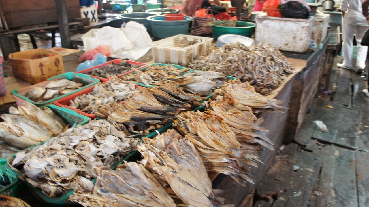 Photo of Others in Kumai