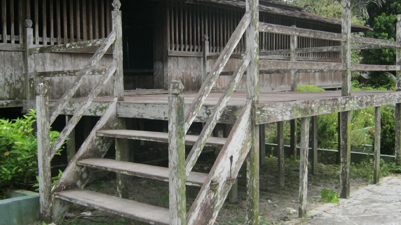 Photo of Others in Kumai