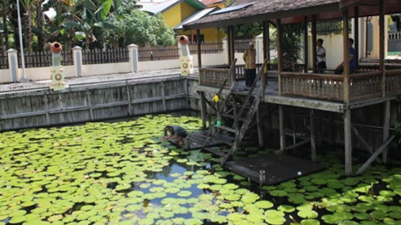 Photo of Others in Kumai