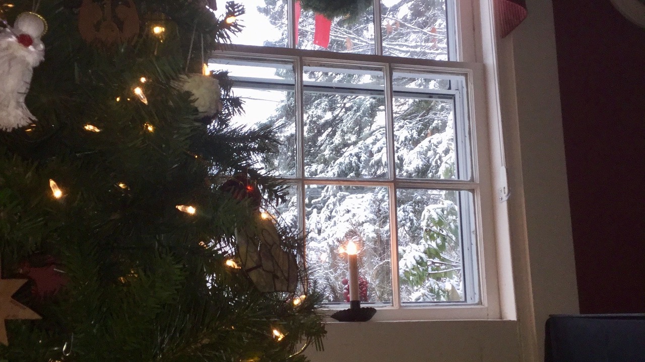 Photo of Others in Salsbury Cove