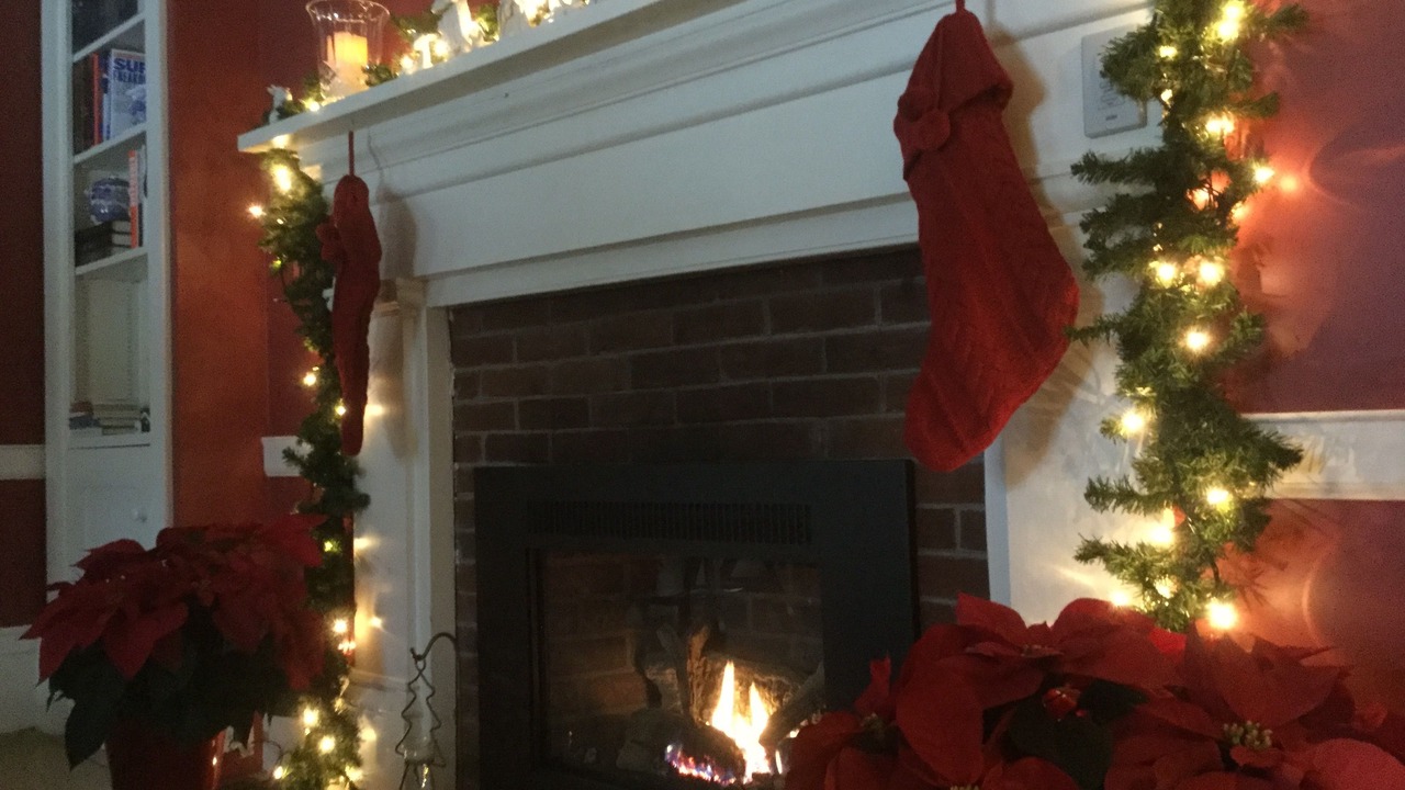 Photo of Others in Salsbury Cove