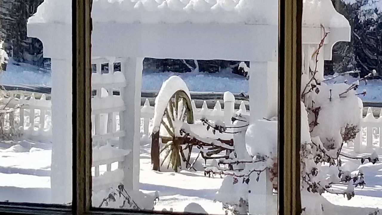 Photo of Others in Salsbury Cove