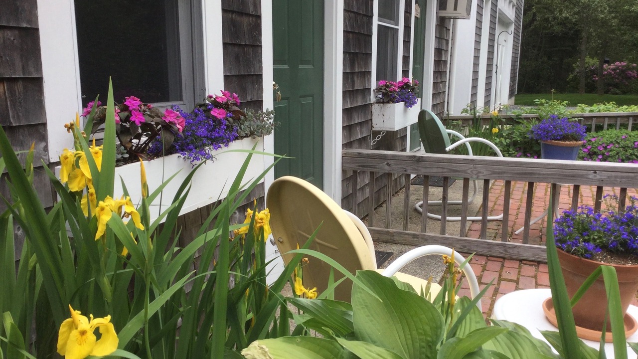 Photo of Outdoor in Salsbury Cove