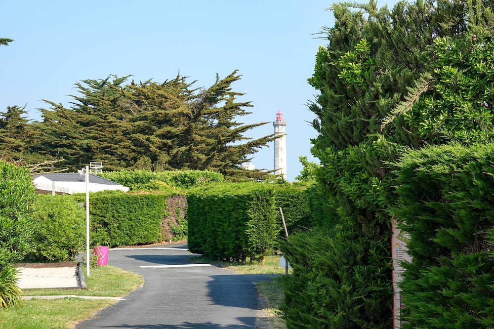 Photo of Others in Saint-Clement-des-Baleines