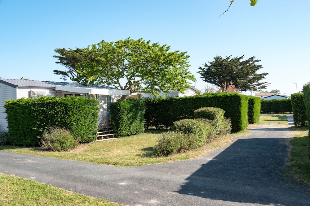 Photo of Outdoor in Saint-Clement-des-Baleines