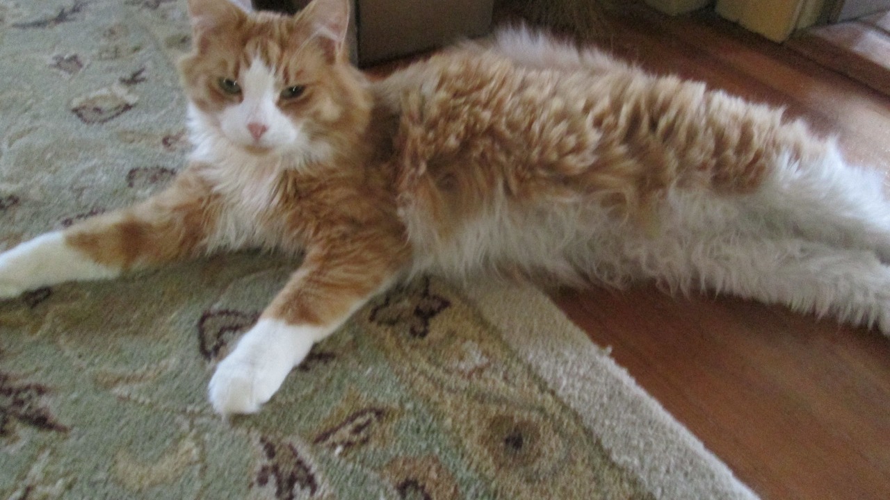 Photo of Others in Montgomery