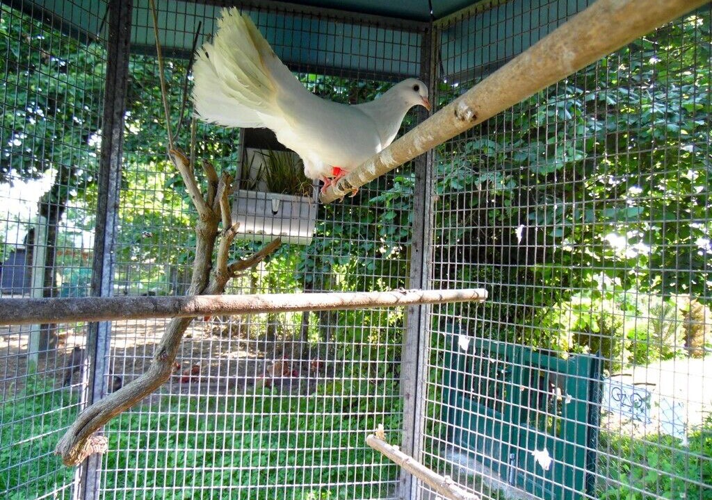 Photo of Outdoor in Sains