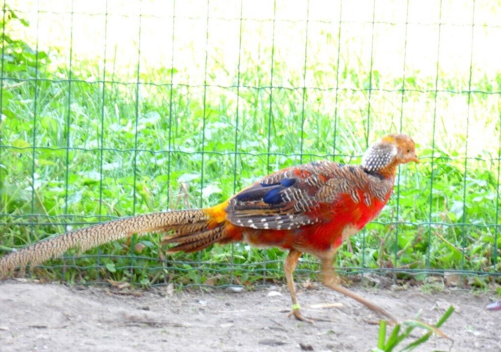 Photo of Outdoor in Sains