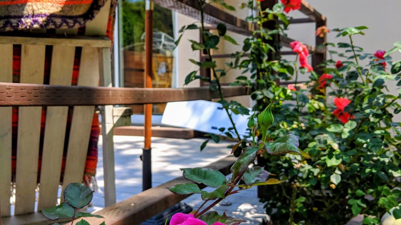 Photo of Outdoor in Beverly Glen