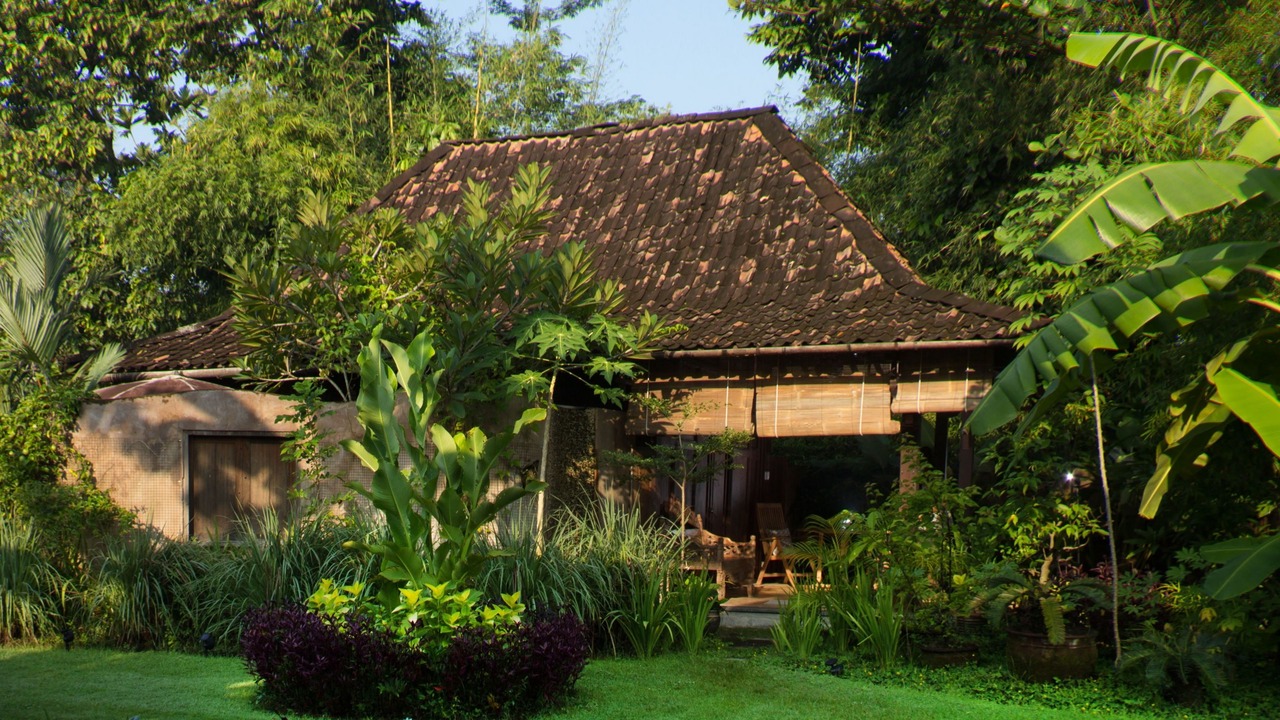 Photo of Outdoor in Timbulharjo
