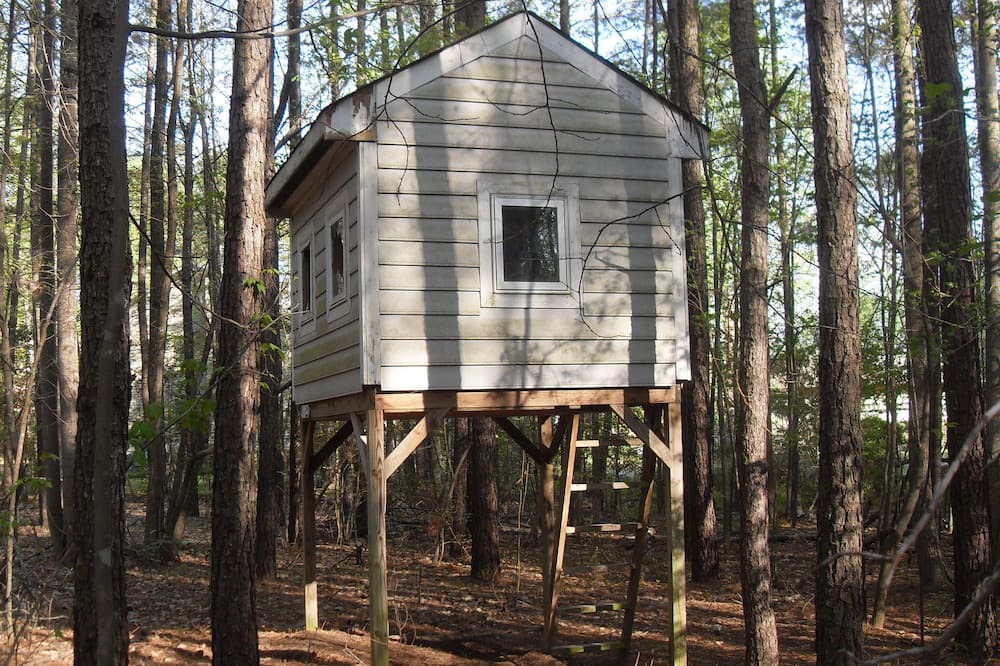 Photo of Others in Barhamsville