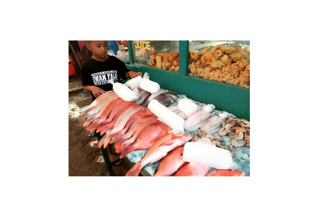 Photo of Others in Labuan Bajo