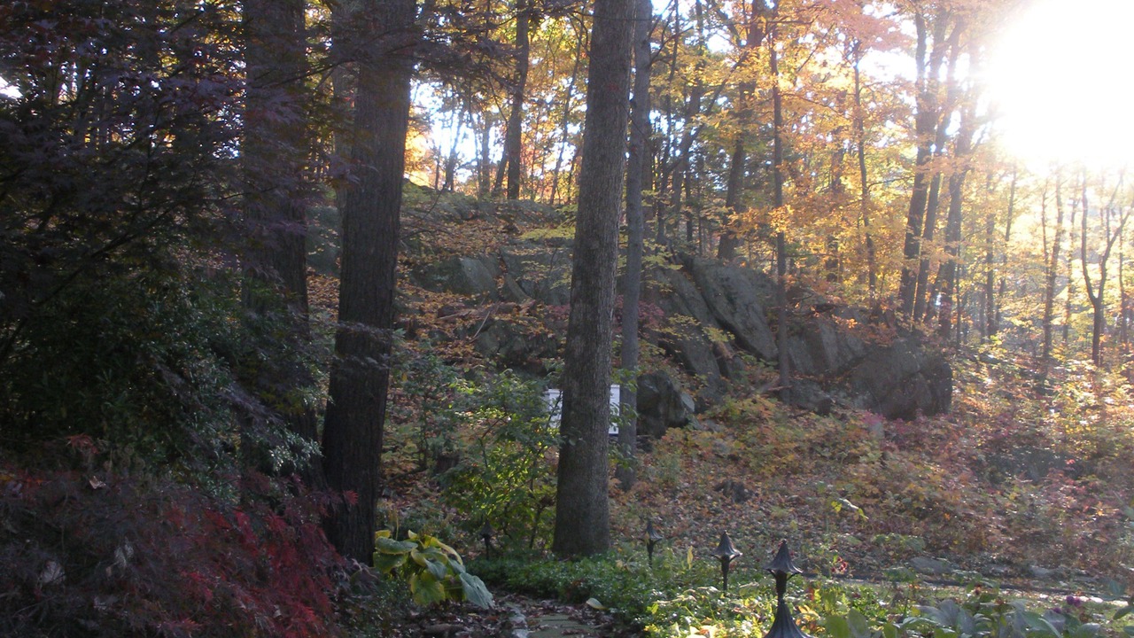 Photo of Outdoor in Hyde Park