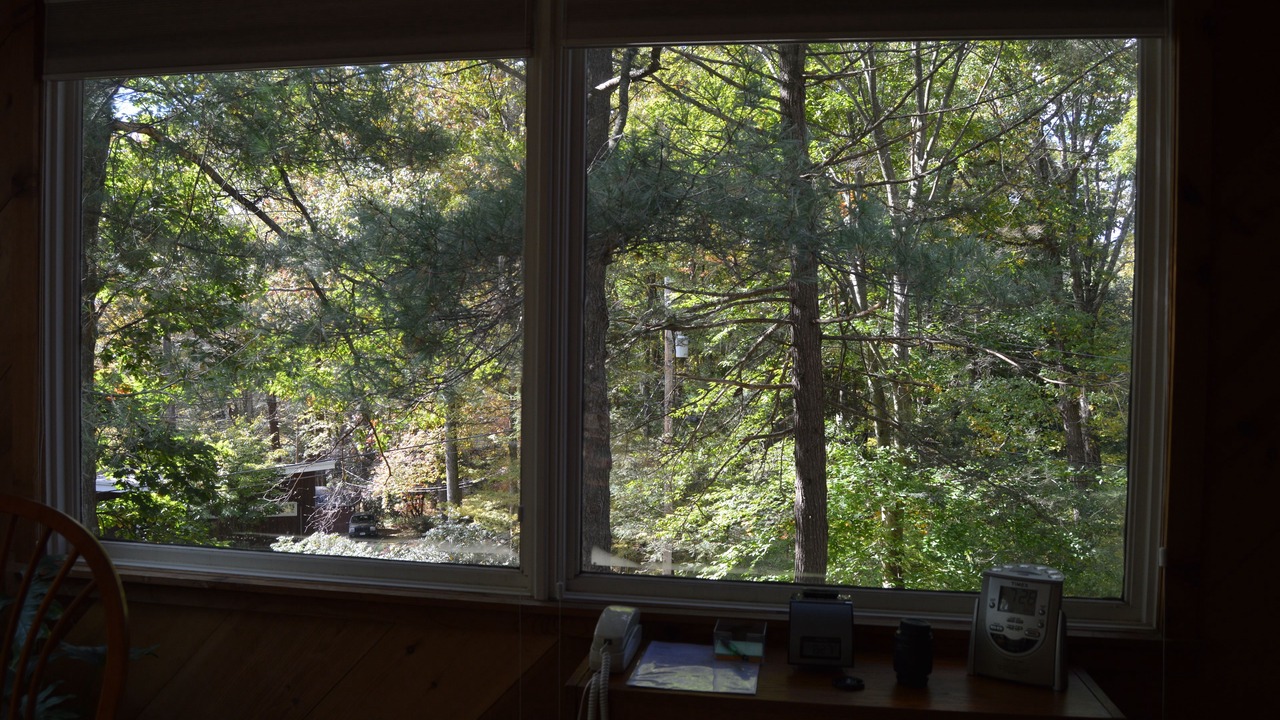 Photo of Bedroom in Hyde Park
