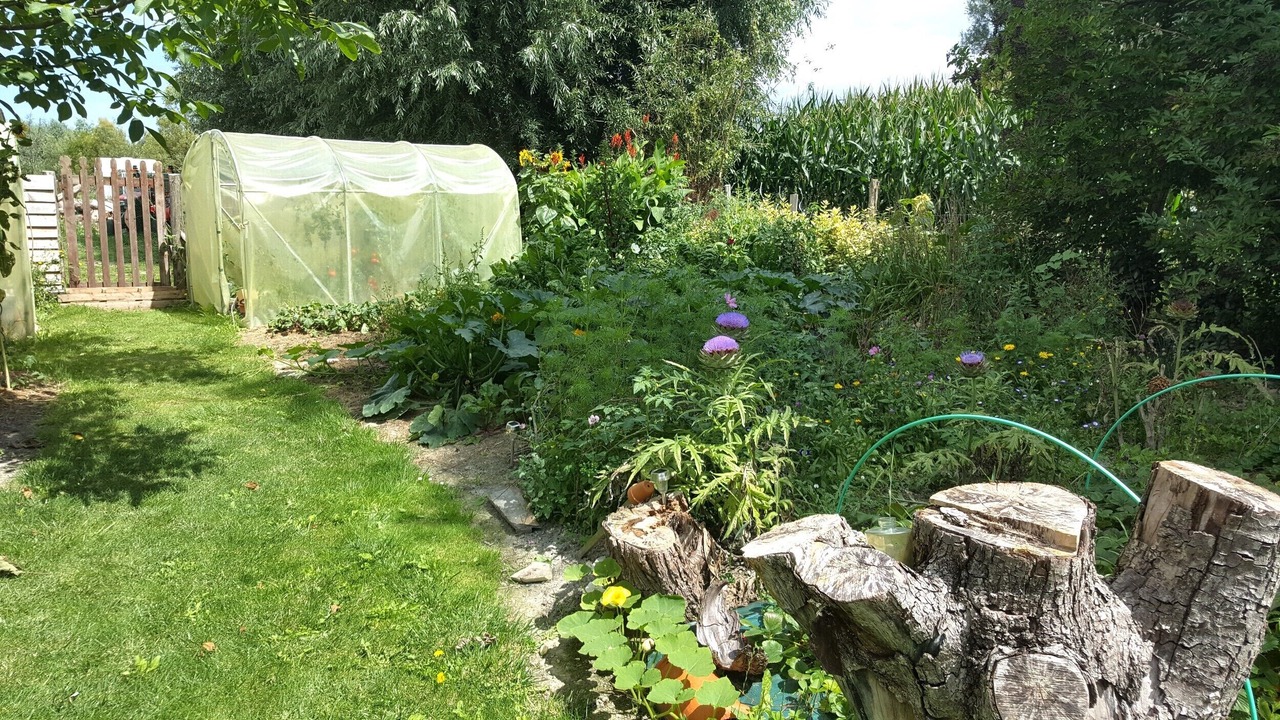 Photo of Outdoor in La Fresnais