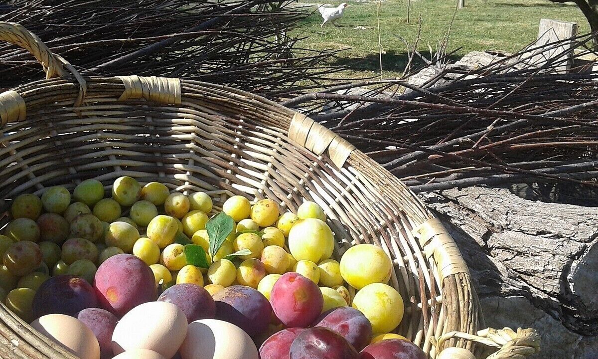 Photo of Others in La Fresnais