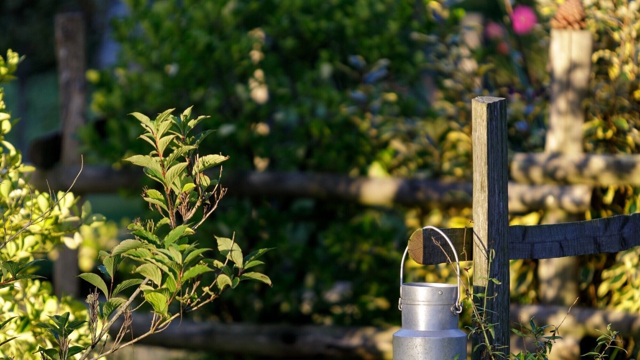 Photo of Outdoor in La Fresnais