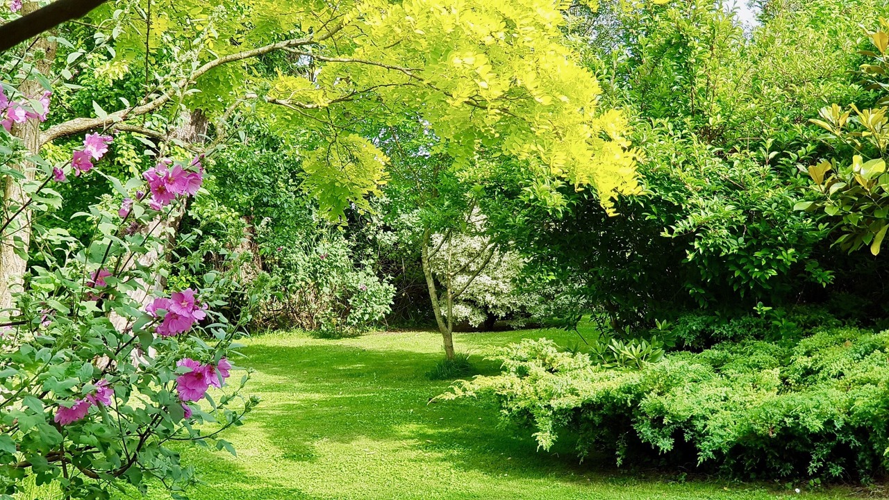 Photo of Outdoor in La Fresnais