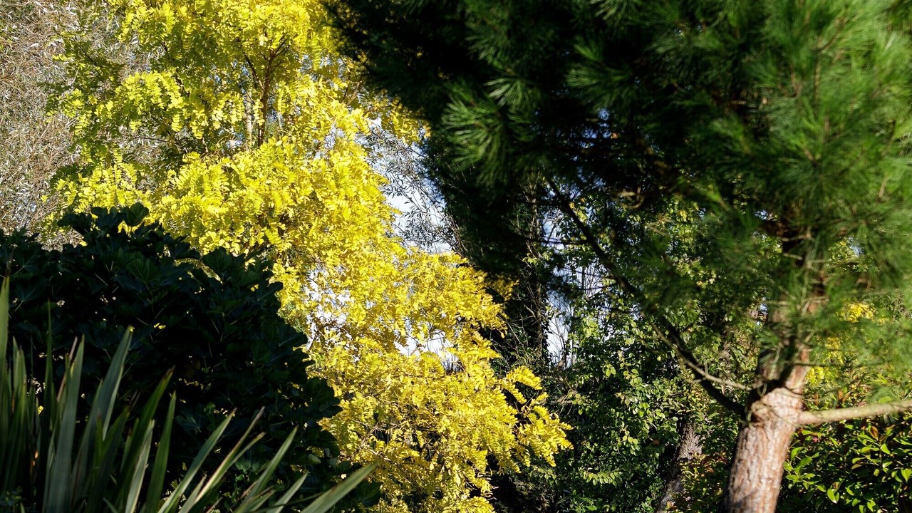 Photo of Others in La Fresnais