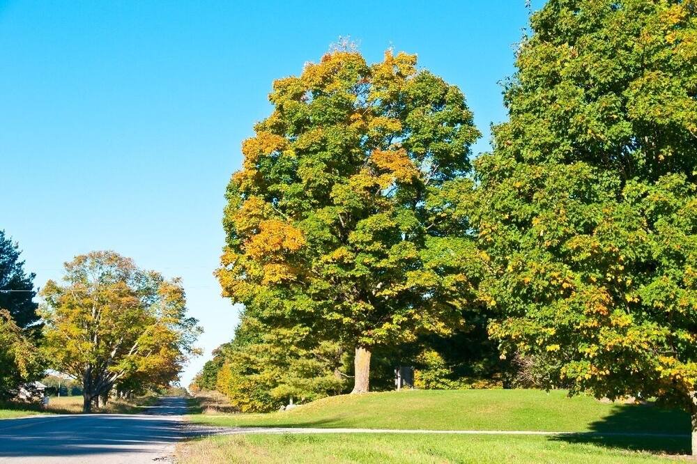 Photo of Outdoor in Harbor Springs