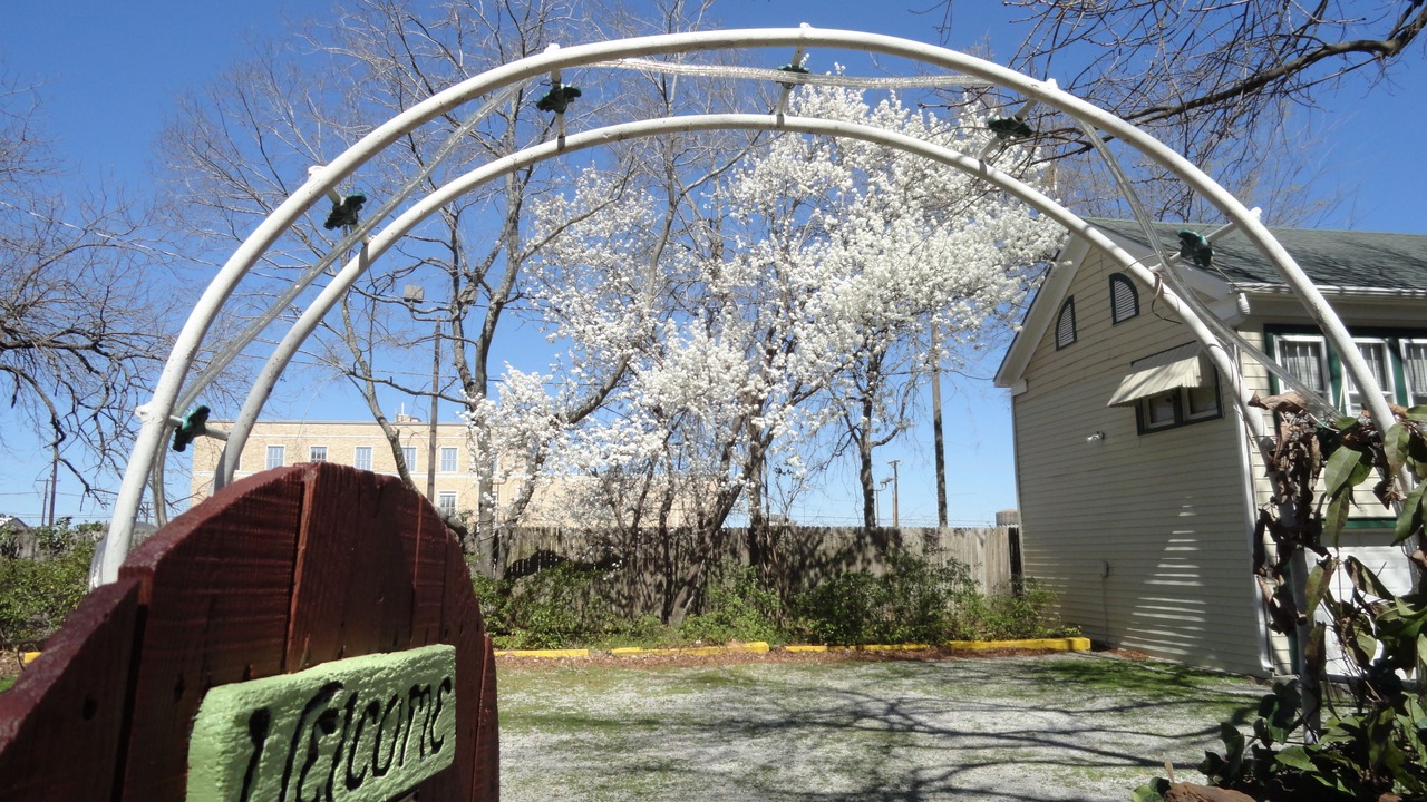 Photo of Outdoor in Tyler