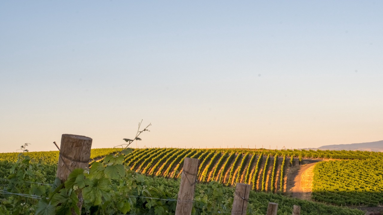 Photo of Outdoor in Walla Walla