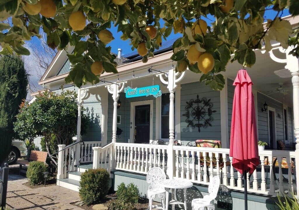 Photo of Outdoor in Winters