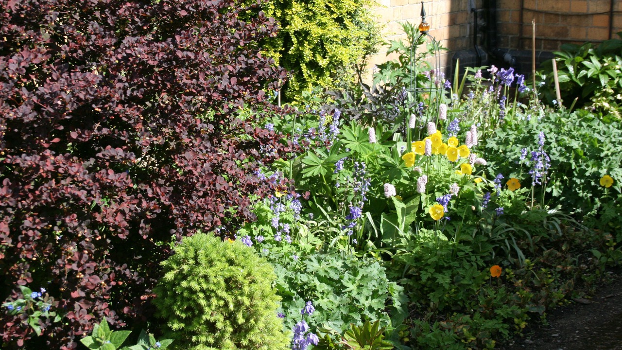 Photo of Outdoor in Rhayader