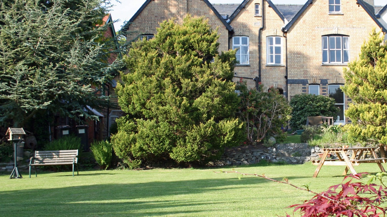 Photo of Others in Rhayader