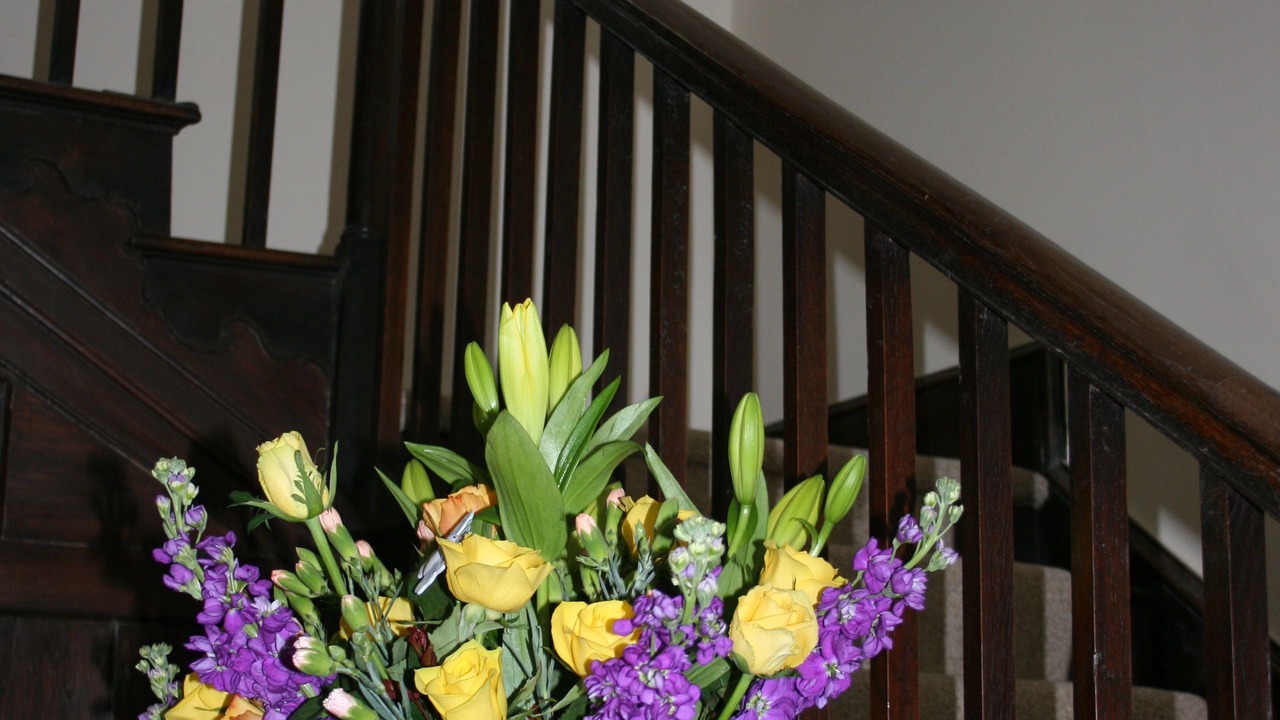 Photo of Others in Rhayader