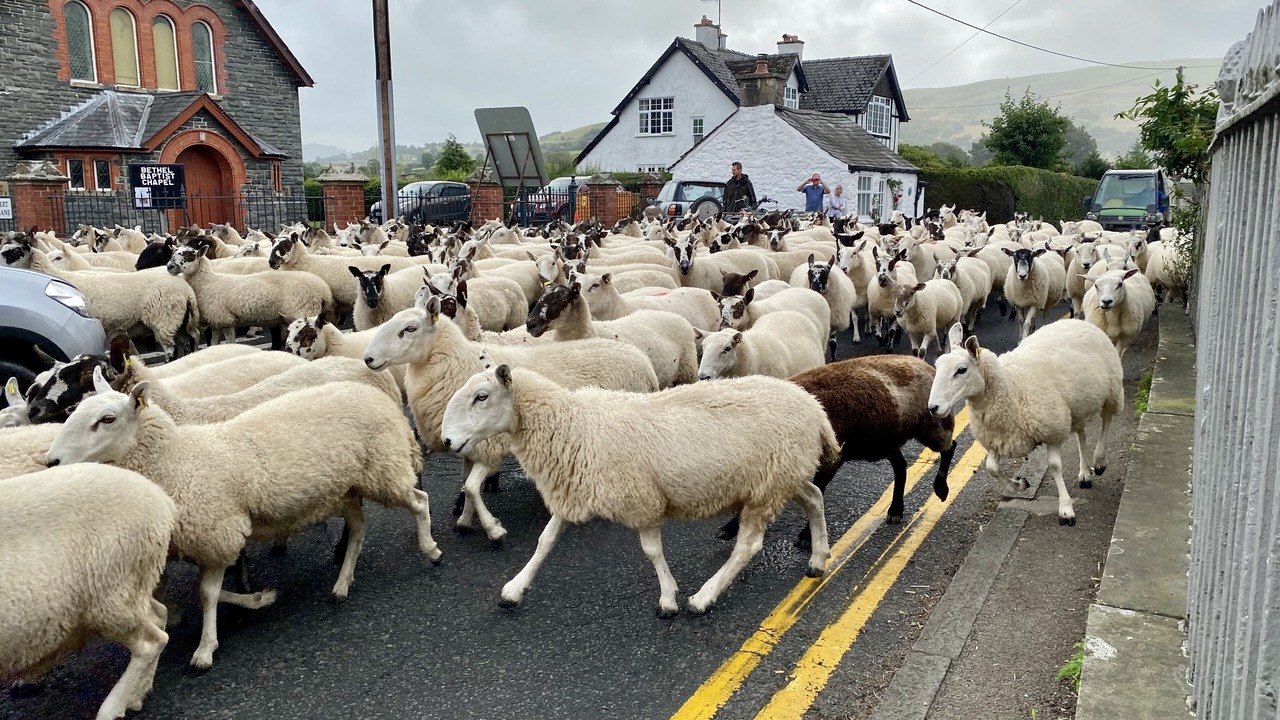 Photo of Others in Rhayader