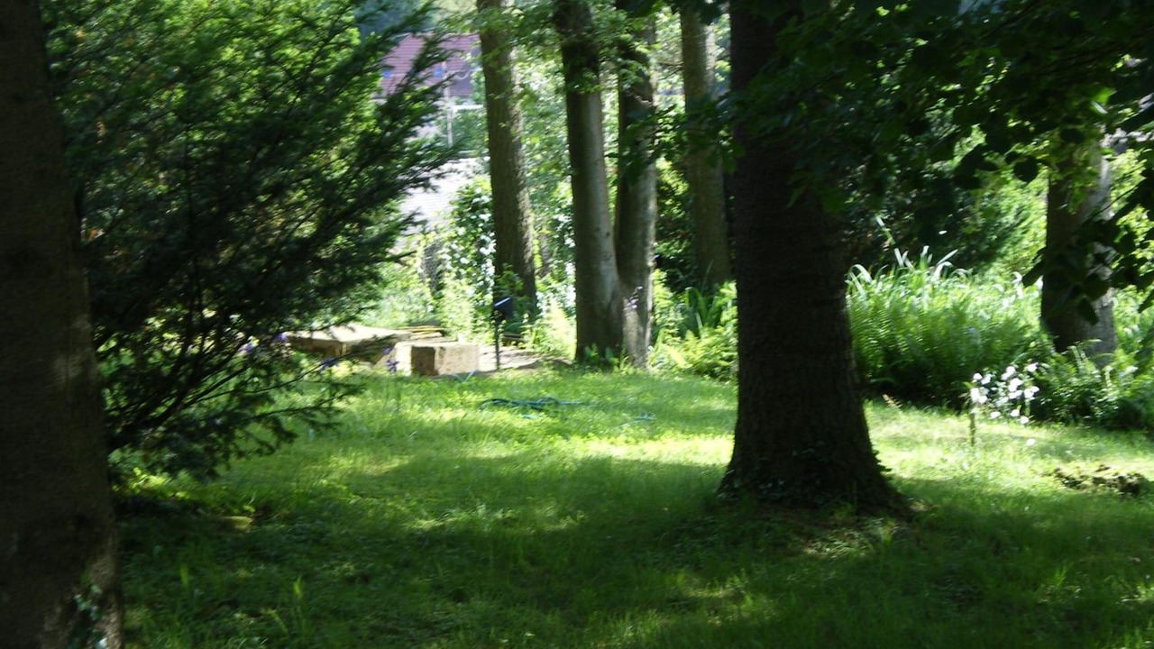 Photo of Outdoor in La Petite-Pierre