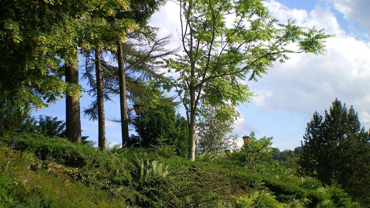 Photo of Outdoor in La Petite-Pierre