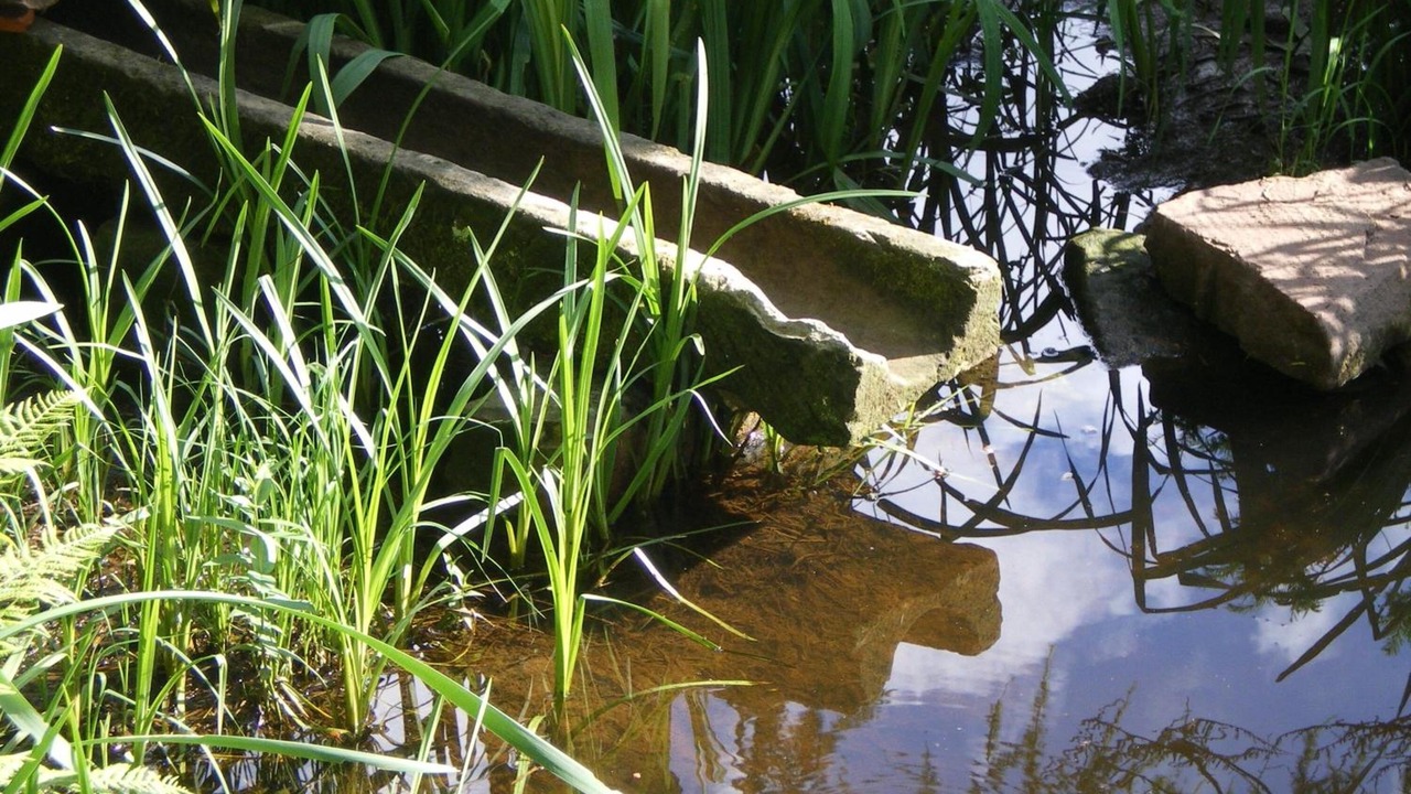 Photo of Outdoor in La Petite-Pierre