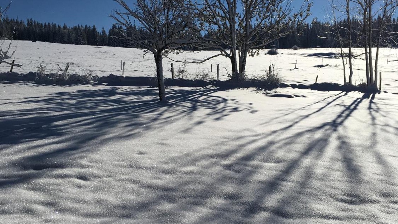 Photo of Others in Verrieres-de-Joux