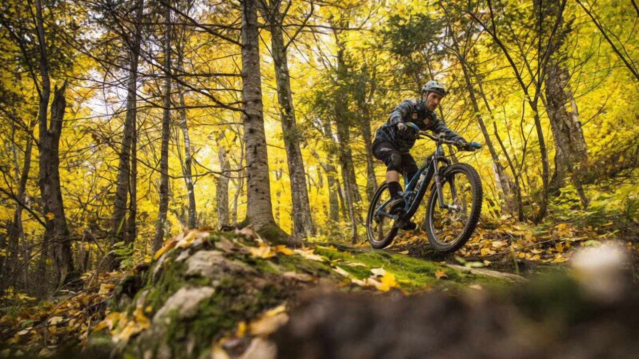 Photo of Outdoor in Saint-Marc-des-Carrieres